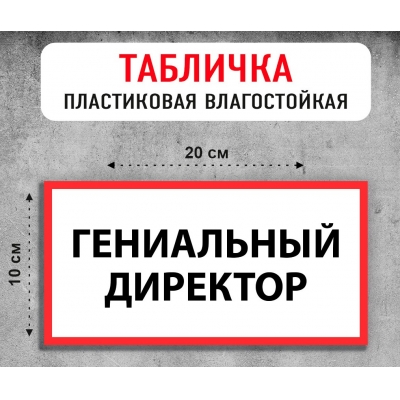 Табличка "Гениальный директор"