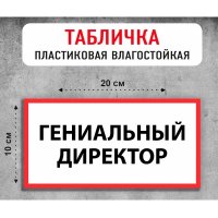 Табличка "Гениальный директор"